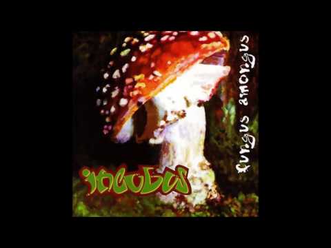 Incubus ?? Fungus Amongus (Album, 1995)