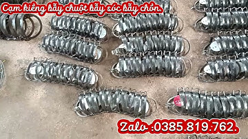 Cạm bẫy chồn bẫy chuột bẫy sóc rừng đủ các loại cạm bẫy thú hàng dầy khỏe báo giá cạm chuột.