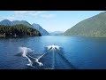 Water skiing at Alouette lake (Drone + GoPro Footage)