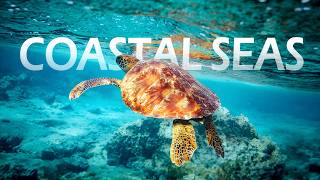 COASTAL SEAS | Discover the Unseen Beauty of Earth’s Ocean Edge | 4K Documentary