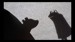 Palmer Paper Puppets    Shadow Puppets part 2 of 3