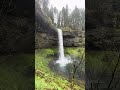 South Falls @ Silver Falls State Park!! #shorts #waterfall #nature #oregon #outdoors #peace