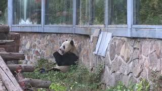 PANDA HOUSE @ Beijing Zoo, China(1)