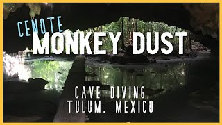 Cenote MONKEY DUST Cave Diving Tulum 🔥