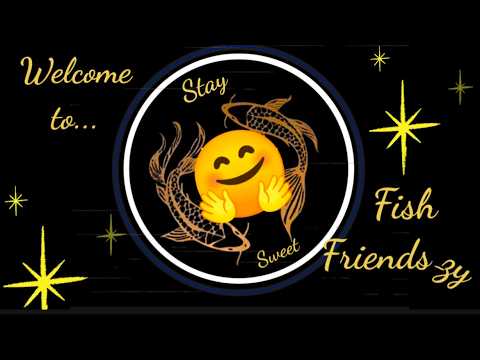 Fish Friends-zy #64
