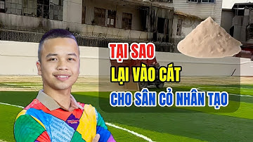 Tại sao lại vào cát cho sân cỏ nhân tạo