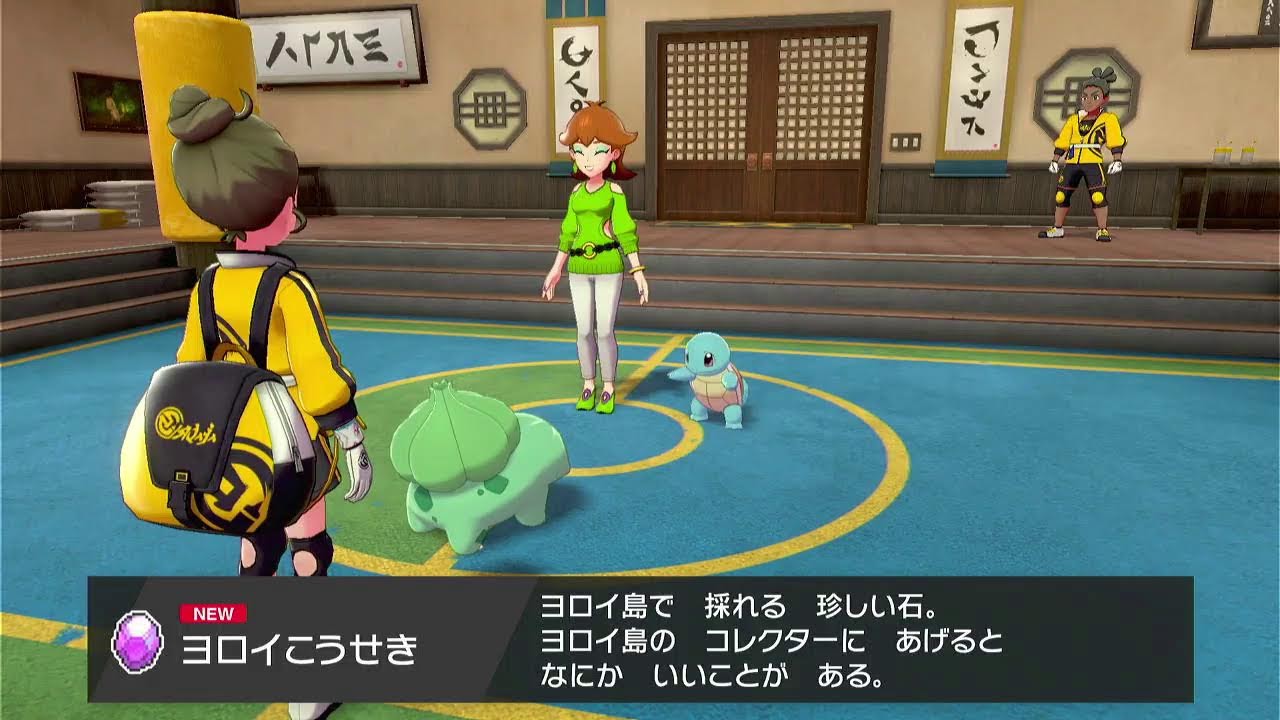 ヒバニー大好き 【ポケモン　シールド】