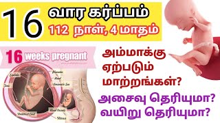 16 week pregnancy symptoms in tamil | 16 weeks pregnancy | 16th week of pregnancy in tamil |