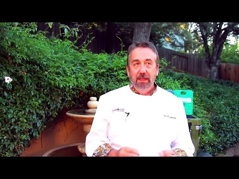 how-to-fry-fish-and-game-in-deep-fryer---the-sporting-chef-tv