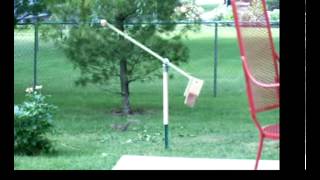 A squirrel playing on our homemade squirrel teeter totter swing. Funny!