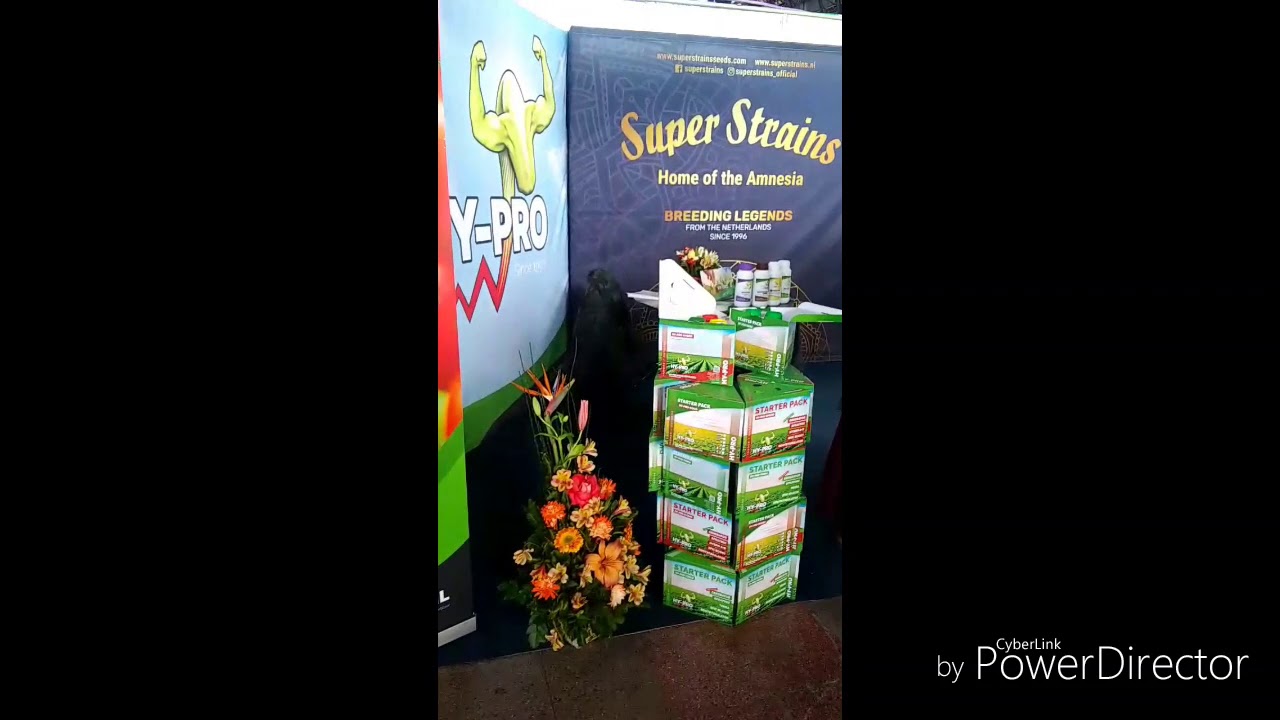 THC EXPO Santiago, Chile 2019