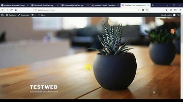 how to install wordpress on Local Server wamp or xampp | wordpress installation in urdu hindi
