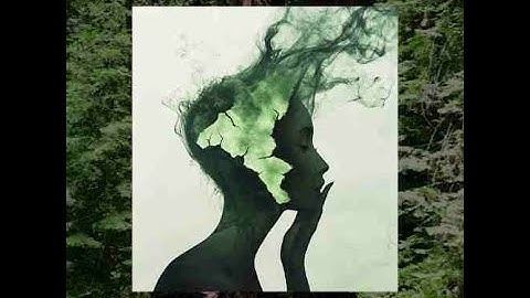 GREEN ROOT: Toward a Sustainable Humanity Connected to All Living Beings