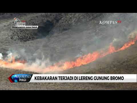 Kebakaran Hutan di Lereng Gunung Bromo
