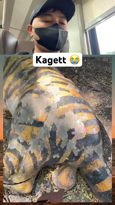 Hawimauu #shorts #storywa #memes #funny #ngakak #comedy #lucu #komedi #viralvideo #fyp