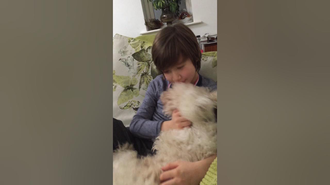 30 cows and 28 chickens) YouTube