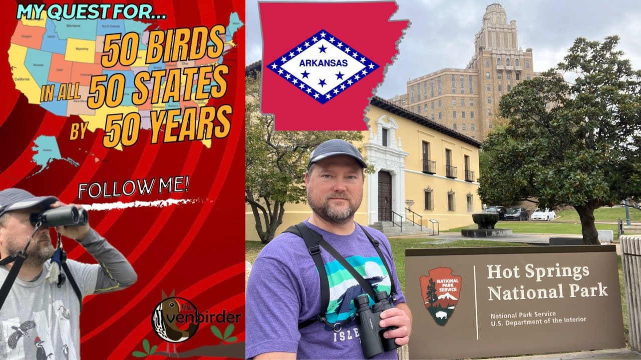 Hot Springs National Park, AR- Louisiana Birding Road Trip Part 2 - 50-50-50 Birding Challenge