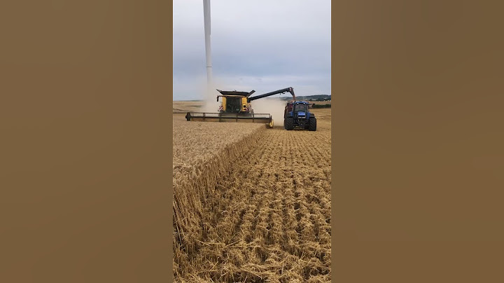 Moisson des blés 🌾🌾# moisson#blé#agriculture#champ#youtubeshorts#youtube