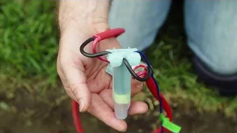 Proper Wire Splicing for Two Wire Decoder Irrigation Systems