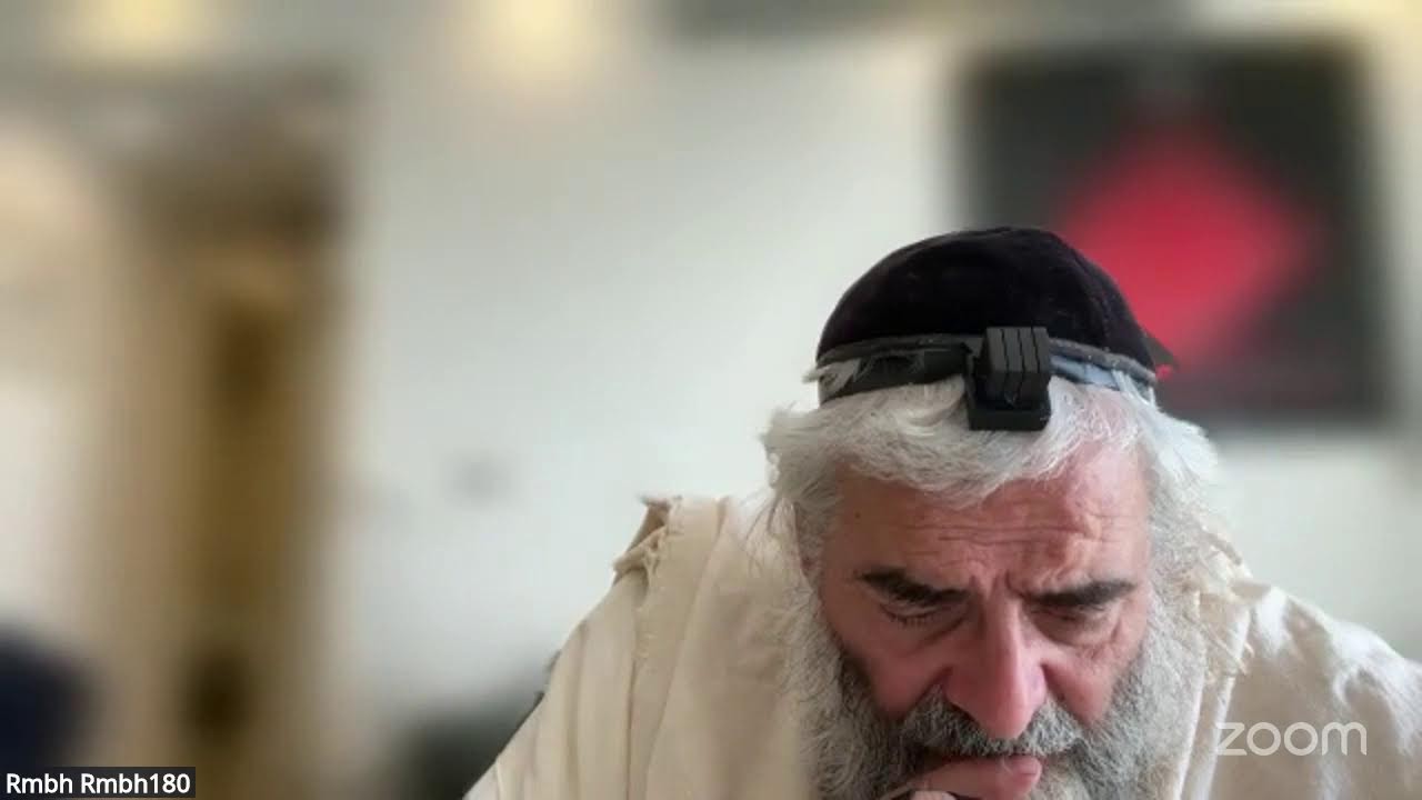Daf HaYomi - Zevahim 115