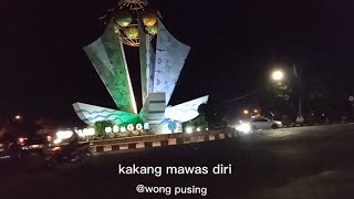 story WA || Tarling Cirebonan Indramayu || modale wani