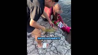 Una Festa Di Pesce Inaspettata IT
