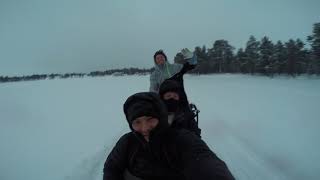 Dogsledding (Experience Arjeplog) Sweden Jan 2018