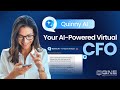 Quinny AI: Virtual CFO that Analyzes Business Reports