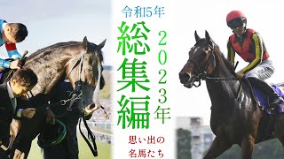 思い出の名馬たち『2023年 総集編』