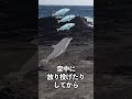 【悲報】イルカさんフグでキマってしまう