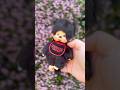 RARE Black Fur Stranger Things Monchhichi Reveal! 🖤✨ #monchhichi #strangerthings #netflix #unboxing
