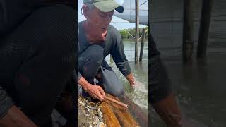 Tara Kain Tayo Talaba 😍 Resimi