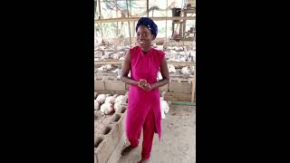 Some of her broilers weighed 4kg within 6 weeks | Broiler success stories #successstories #broiler