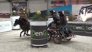 Indoor Nijkerk 2023 - Dexter Biersteker - Winnaar Tweespan Pony Finale