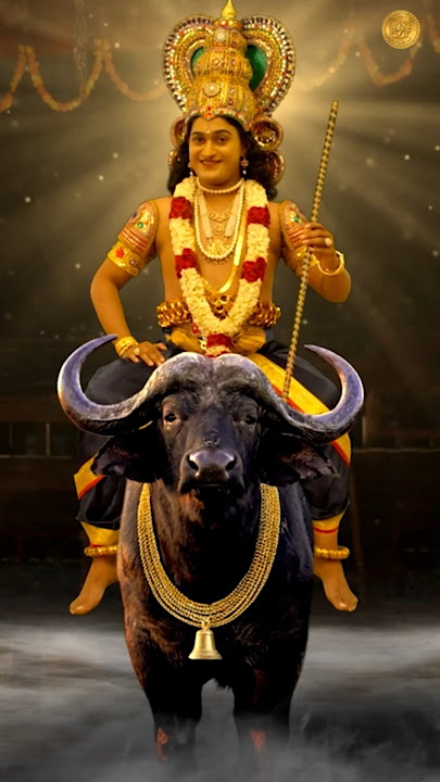 AVANANGATTU MAYA  #vishnumaya