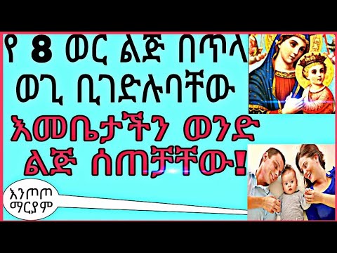 ቪዲዮ: በጥላ ውስጥ ምን አበቦች ሊተከሉ ይችላሉ-ፀሐይን ፣ ፎቶን የማይወዱ እፅዋቶች አጠቃላይ እይታ