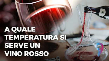 Quale vino rosso va in frigo?