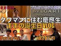 【パパ号泣】ままの誕生日Vlog！