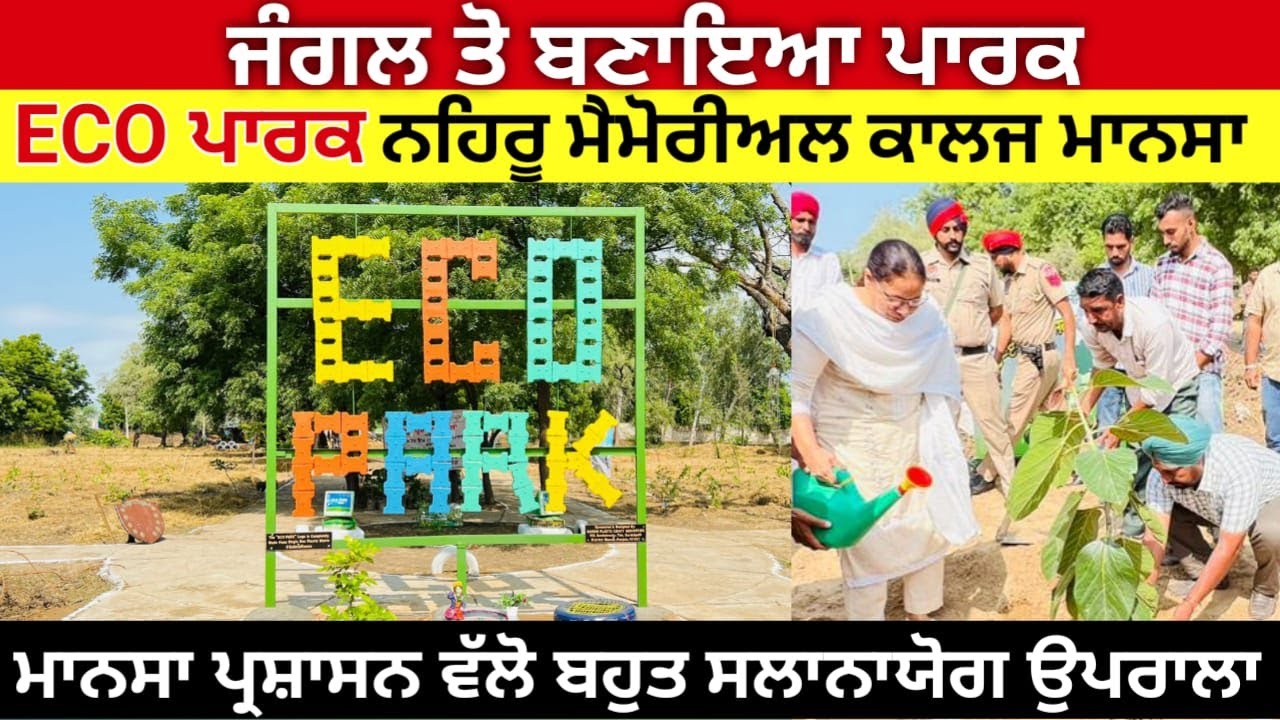 ਜੰਗਲ ਤੋਂ ਬਣਾਇਆ ਪਾਰਕ ਲਾਇਆ 5000 ਬੂਟਾ