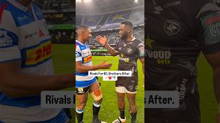 Siya Kolisi &amp; Damian Willemse 🥹🤝 #springboks #rugby #unitedrugbychampionship