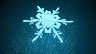 Infosurface Snowflake Growth Preview