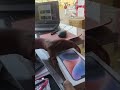 iPhone 14 New Mobile 📱📱 #munawarfaruqui #iphone #biggboss17 #shorts #short #youtubeshorts