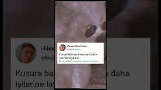 Twitter Tik Tok videosu