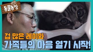 겁 많은 레이, 천천히 다가오는 가족들에 마음 열기♡ I TV동물농장 (Animal Farm) | SBS Story