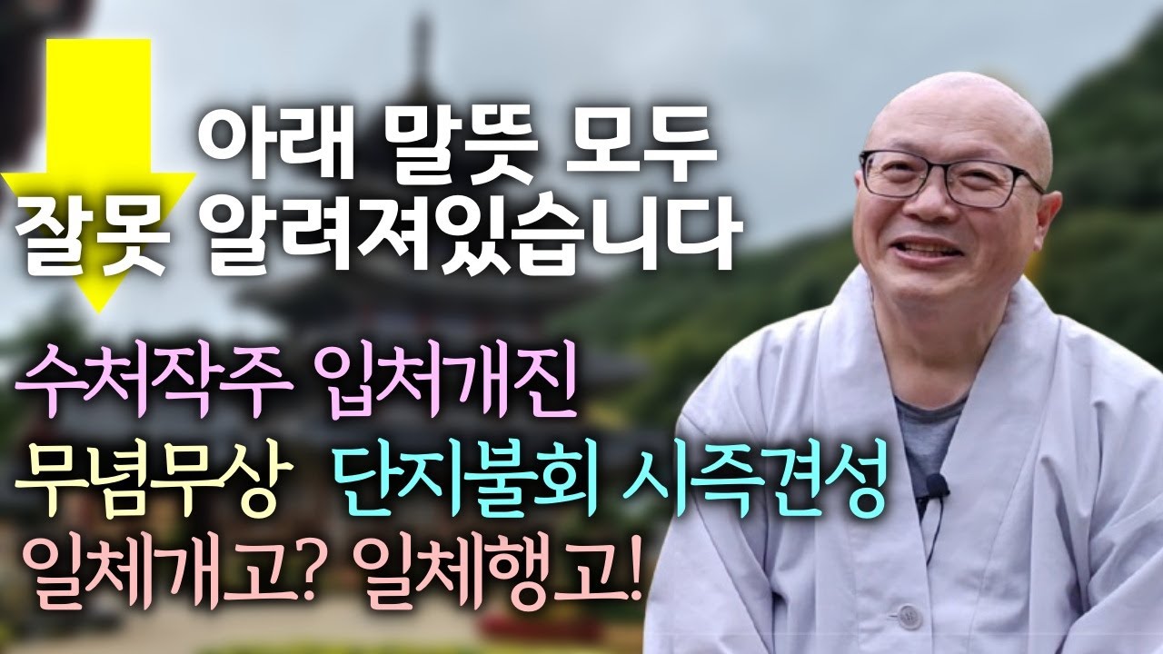 임제선사의 진짜 뜻, 한자한자 풀어드립니다 - 수처작주 입처개진 | 책 '불교 도장 깨기' 펴낸 고광스님 인터뷰 17