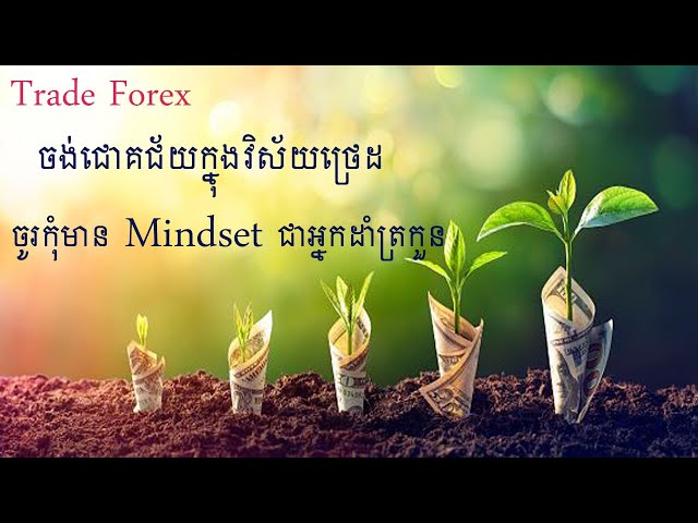 [Trade Forex] ចង់ជោគជ័យក្នុងវិស័យថ្រេដ ចូរកុំមាន Mindset អ្នកដាំត្រកួន class=