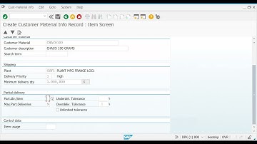 SAP SD CMIR- customer material info records
