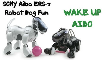 Sony Aibo ERS-7 Booting Up