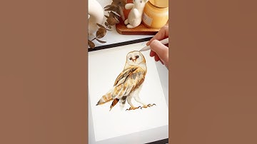 Draw with me 🦉 in Procreate and CSP ✏️ Realistic Watercolor #procreate #watercolor #digitalart