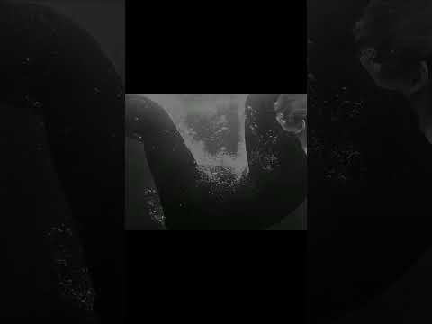 au:Гуки не для